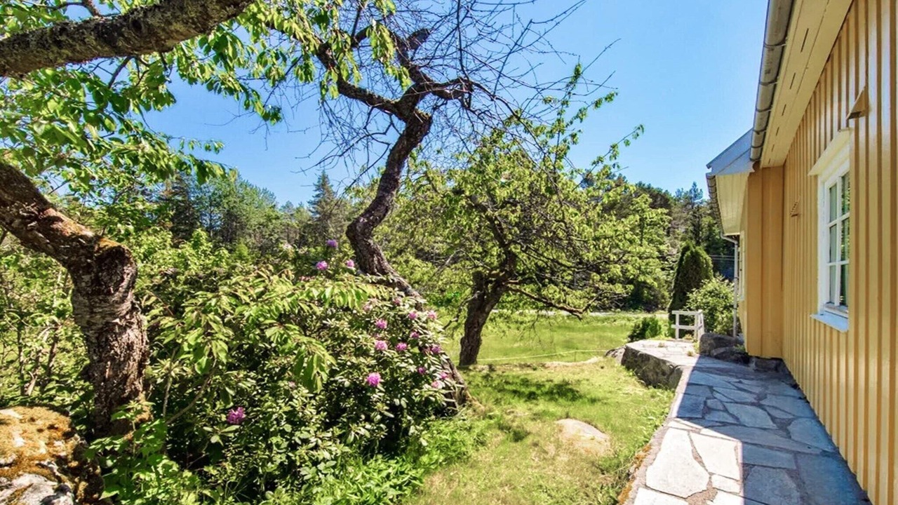 Photo of Outdoor in Risor