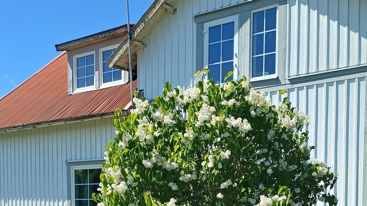 Photo of Others in Varnamo O