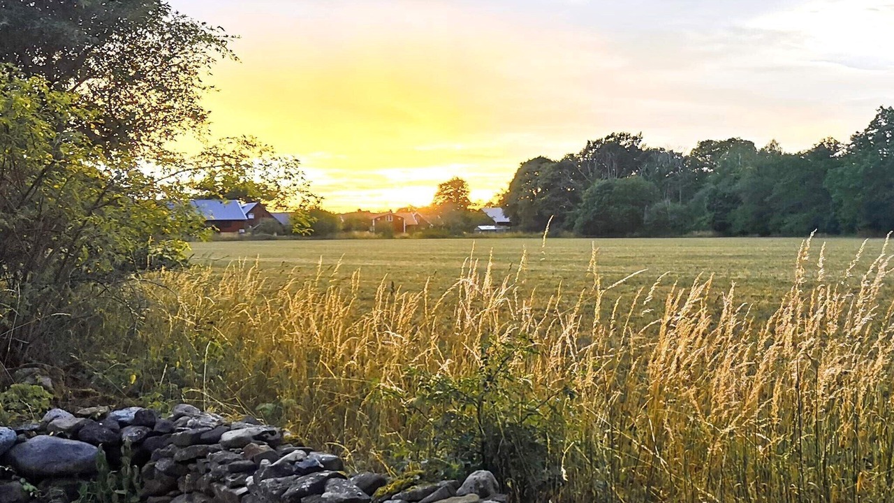 Photo of Outdoor in Farjestaden