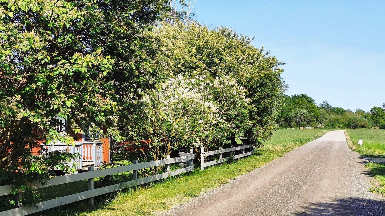 Photo of Outdoor in Farjestaden