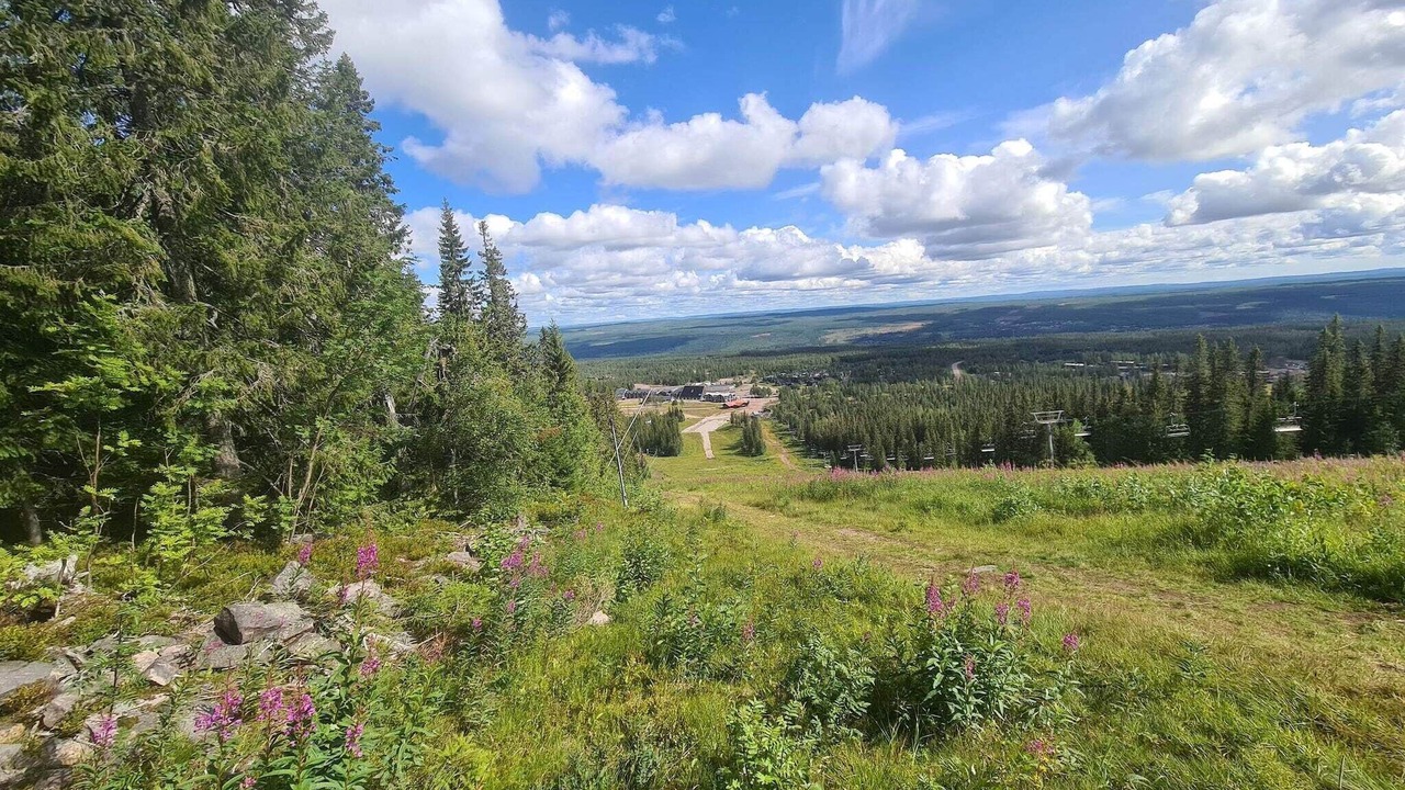 Photo of Others in Stoten