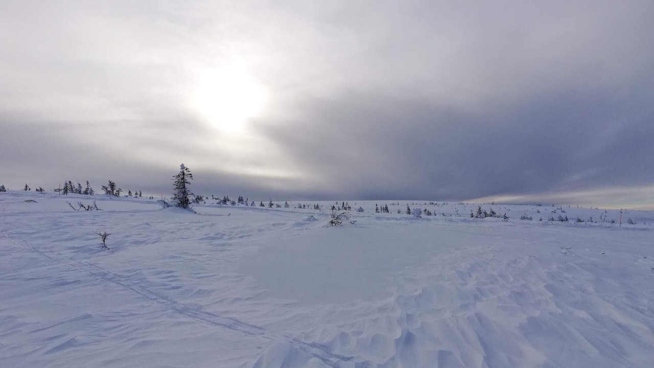 Photo of Others in Stoten