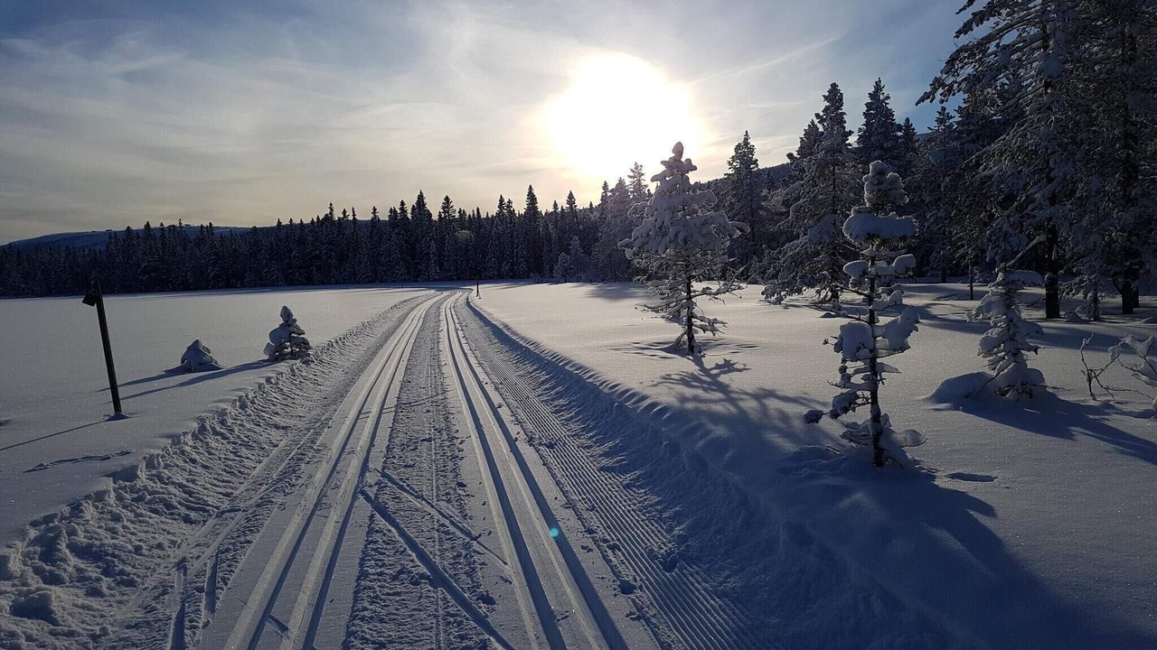 Photo of Others in Stoten