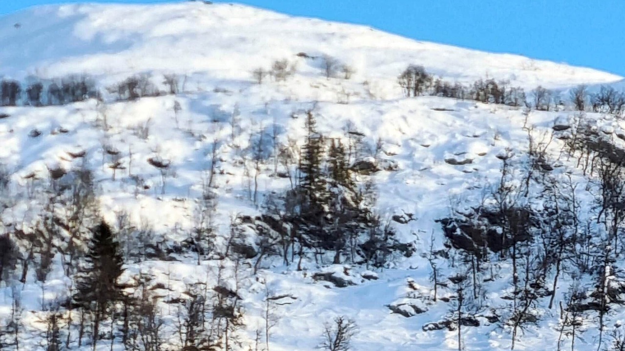 Photo of Others in Rauland