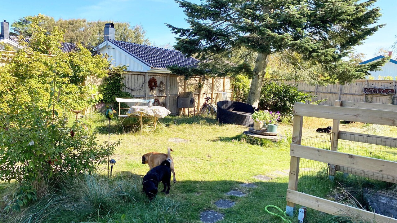 Photo of Outdoor in Mellbystrand