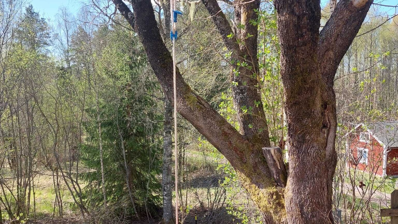 Photo of Outdoor in Rada