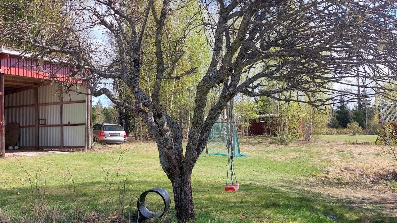 Photo of Outdoor in Rada
