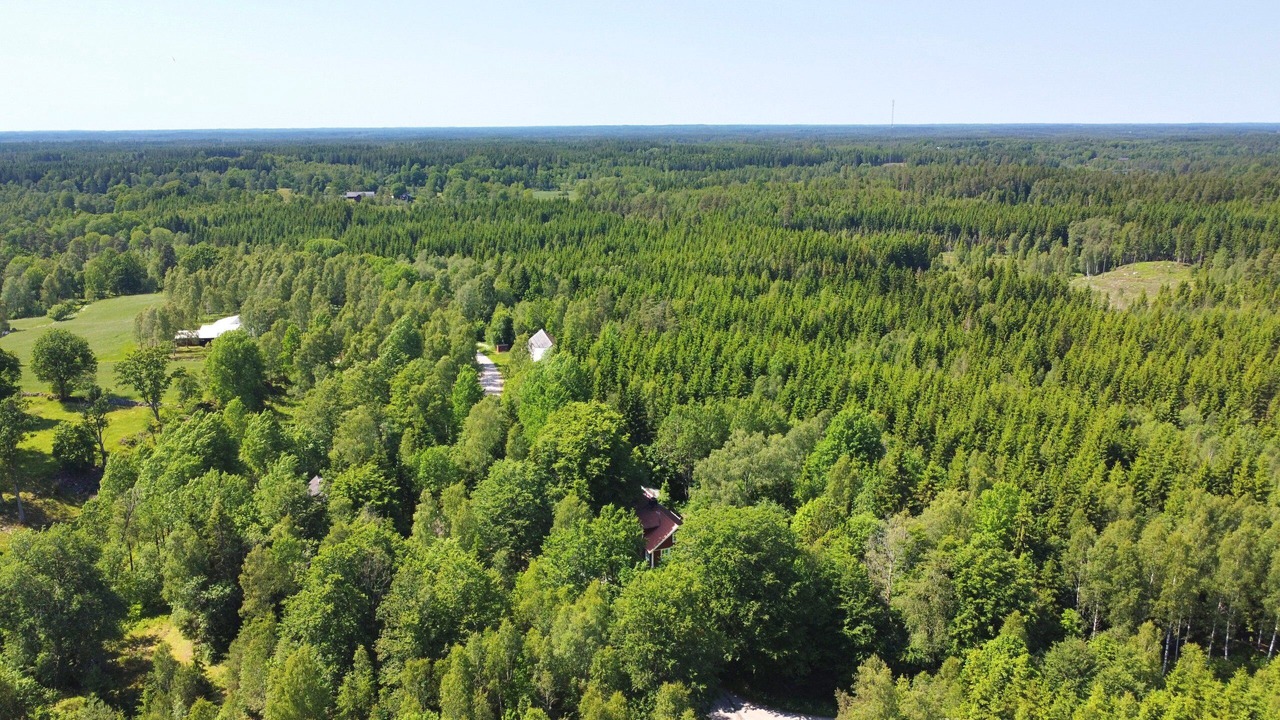 Photo of Outdoor in Hallaryd