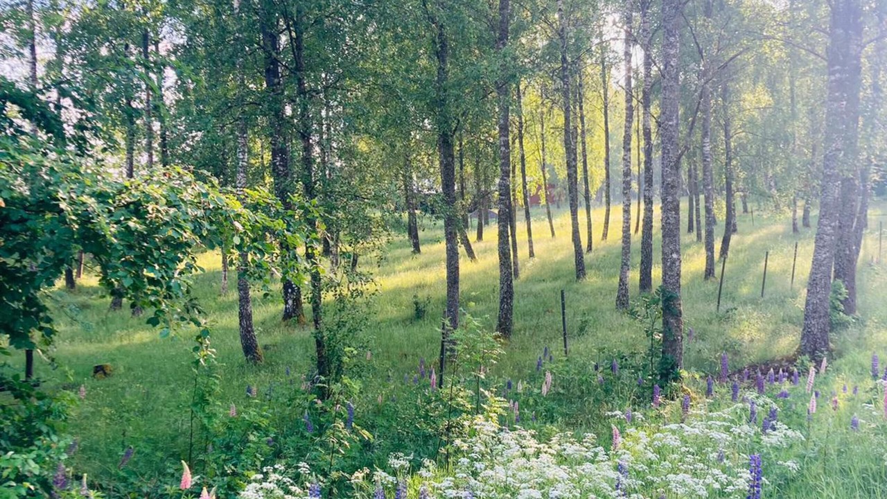 Photo of Outdoor in Hallaryd
