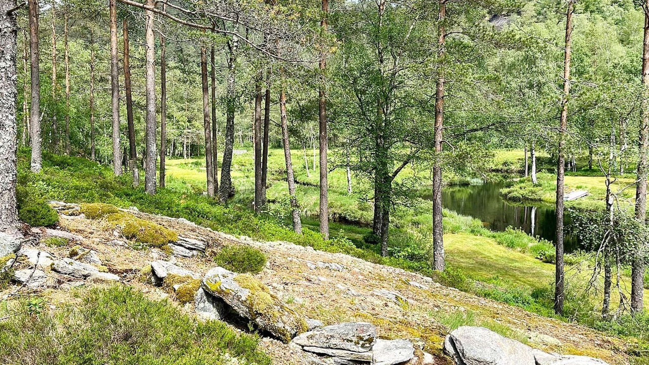 Photo of Others in Kvinesdal