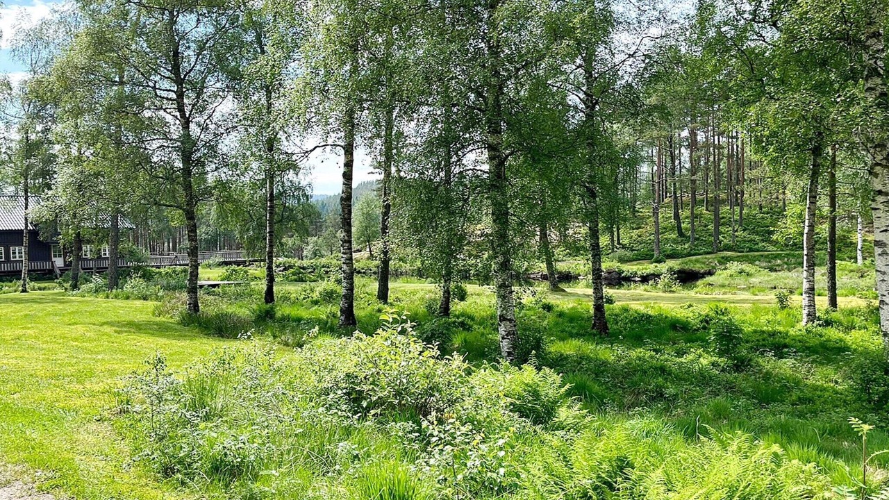 Photo of Outdoor in Kvinesdal