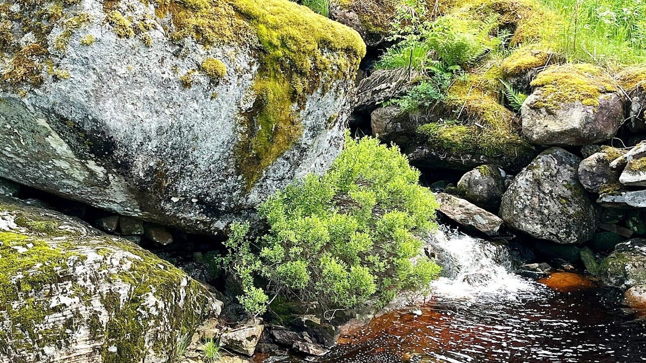 Photo of Outdoor in Kvinesdal