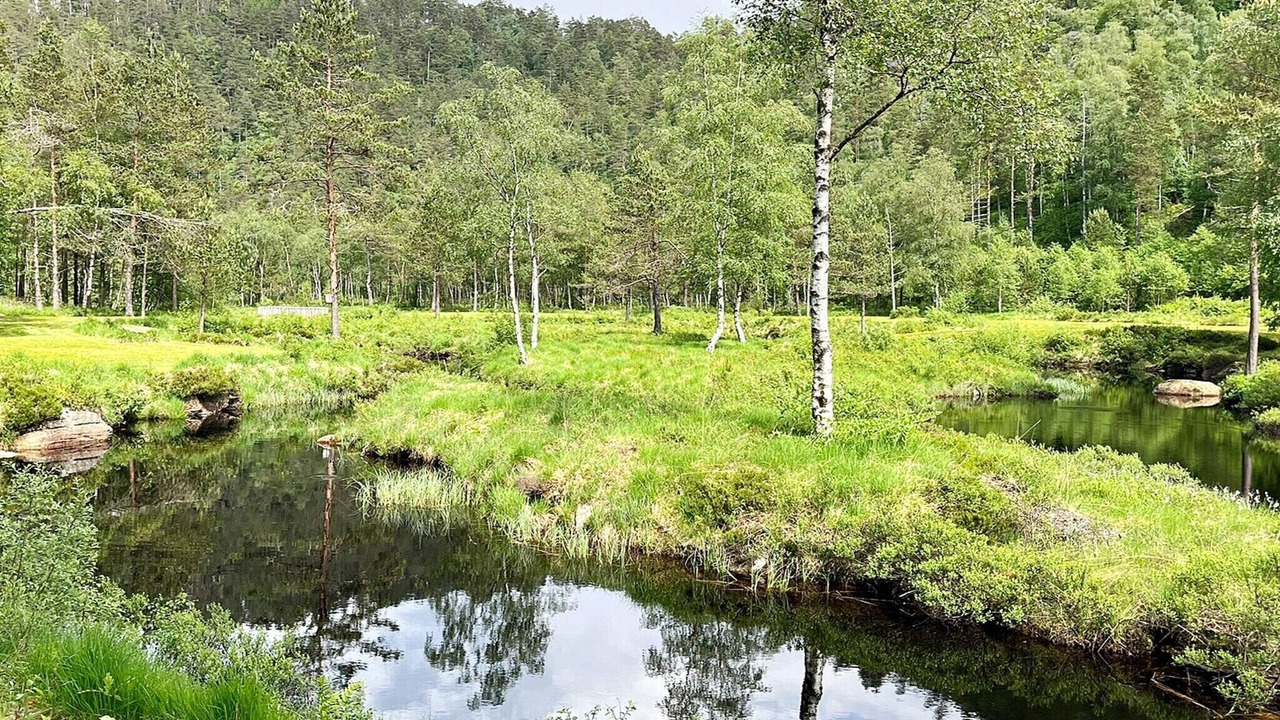Photo of Others in Kvinesdal