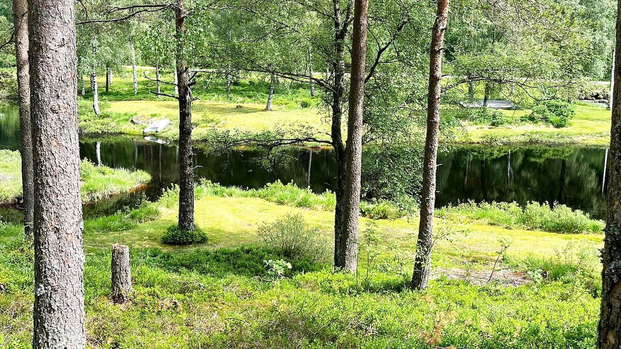 Photo of Others in Kvinesdal