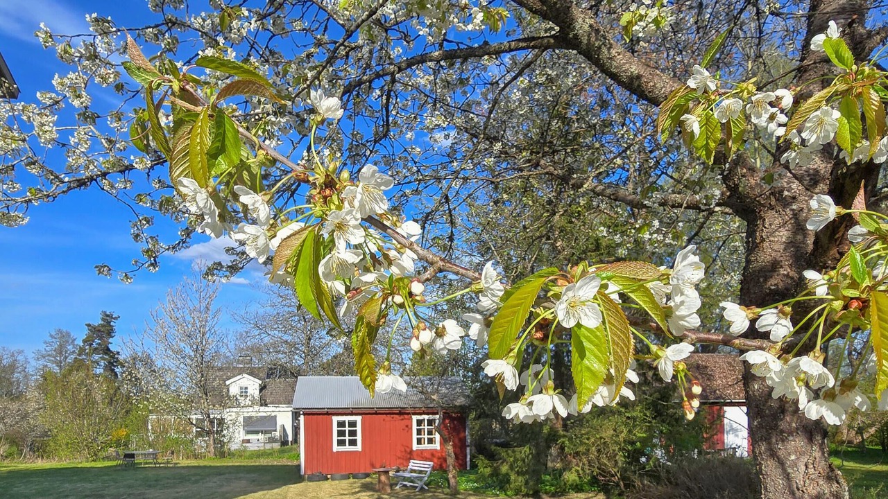 Photo of Others in Rorvik