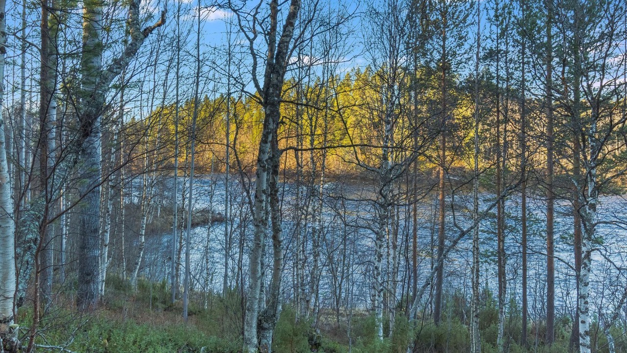Photo of Others in Inari
