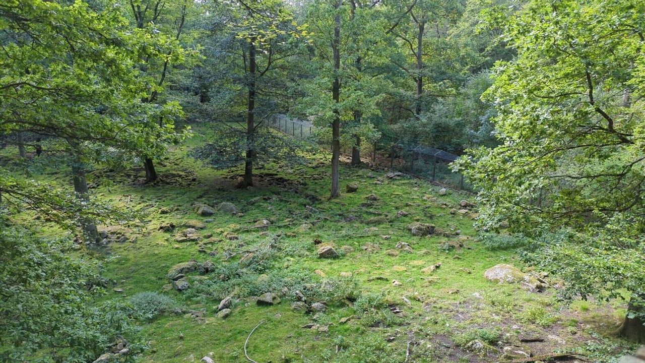 Photo of Others in Hoor Municipality