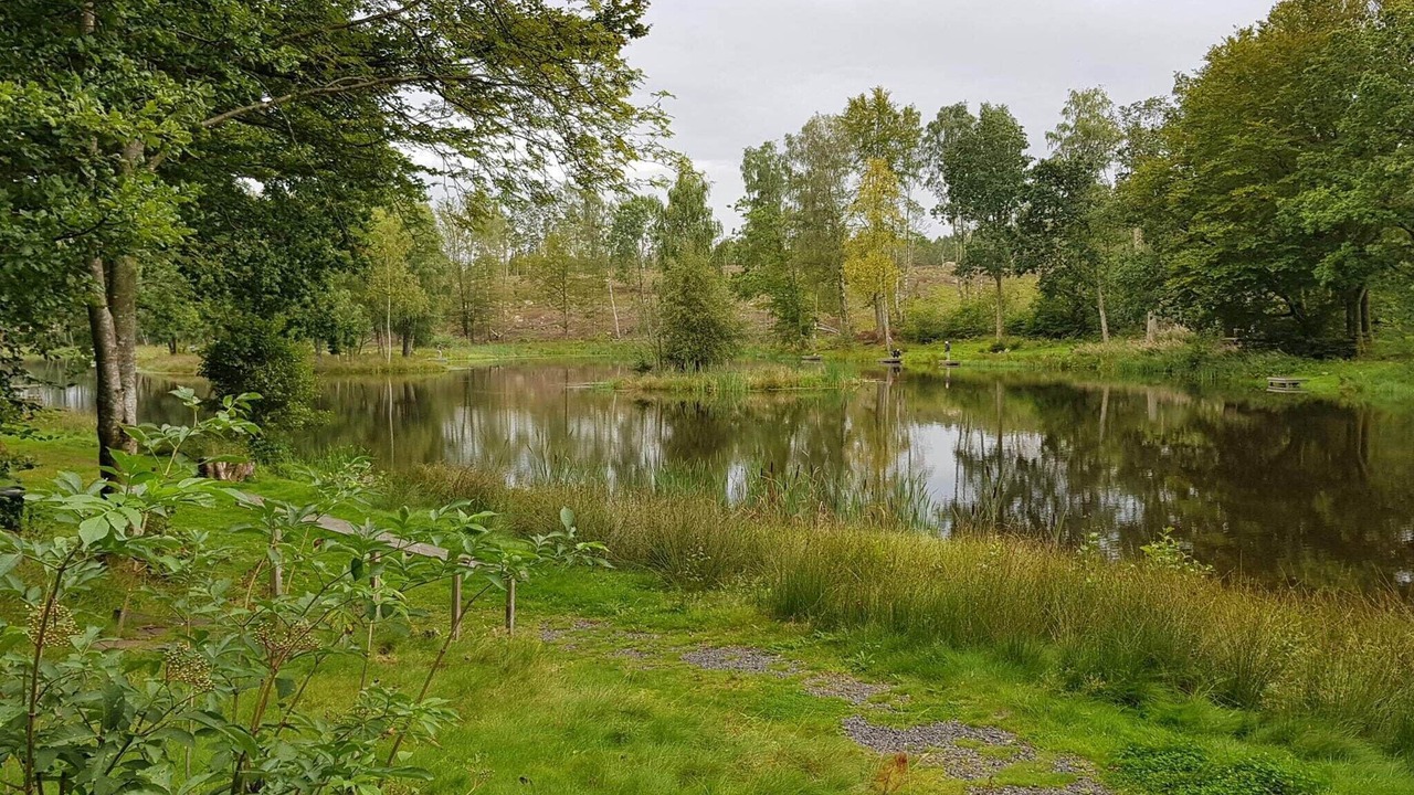 Photo of Others in Hoor