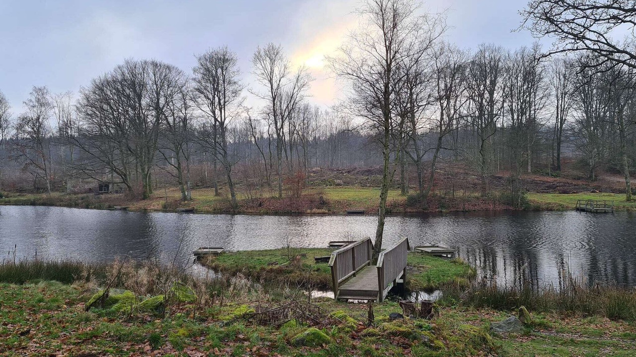 Photo of Others in Hoor