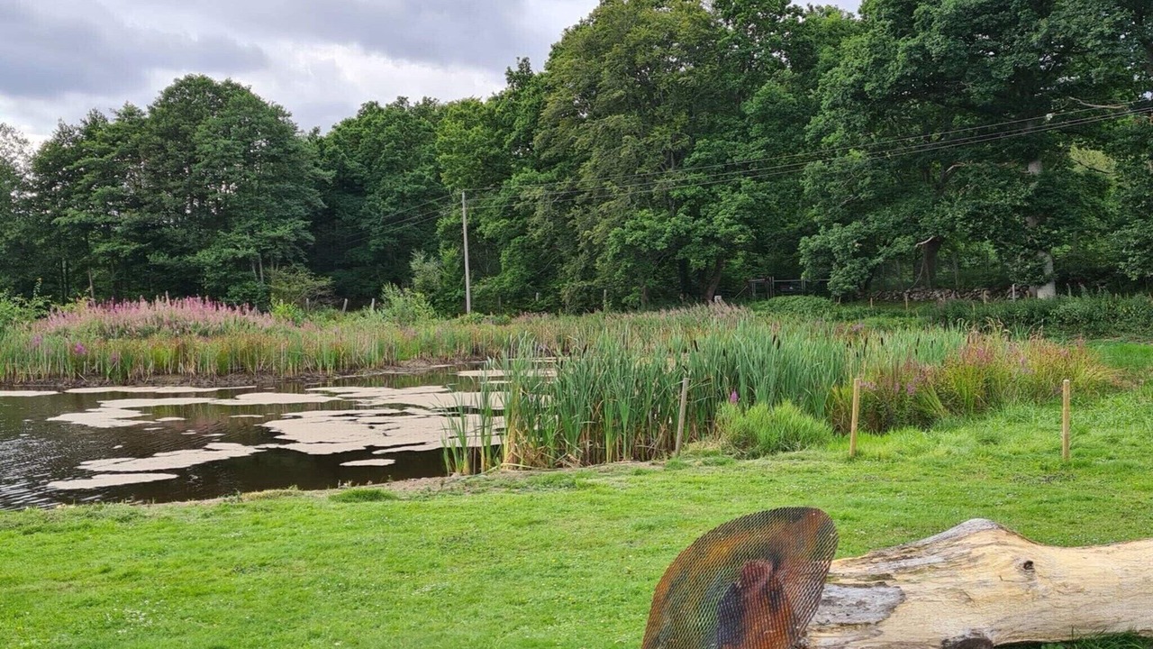 Photo of Outdoor in Hoor Municipality
