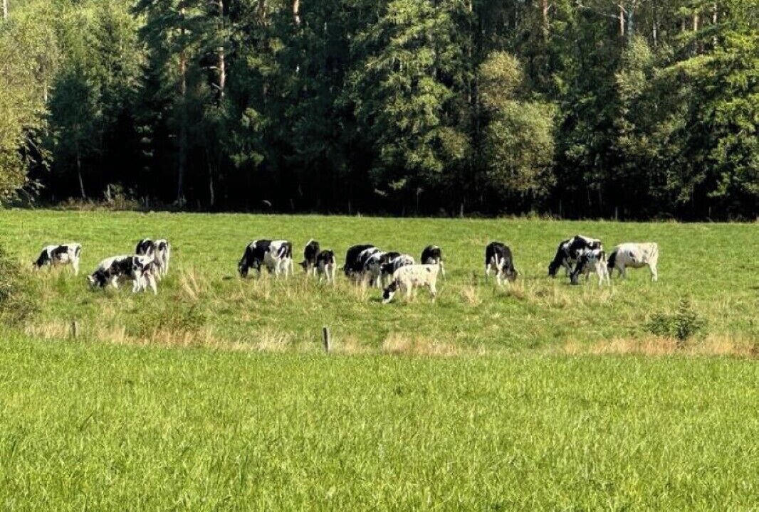 Photo of Others in Forsheda