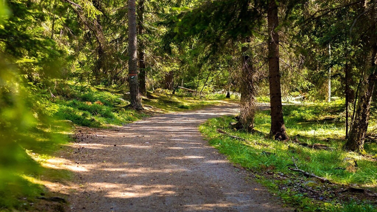 Photo of Outdoor in Storuman Municipality