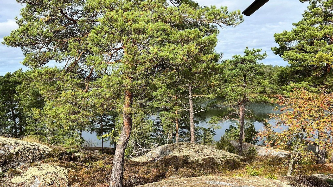Photo of Outdoor in Gallnoby