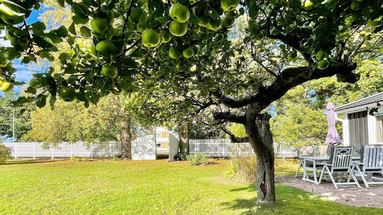 Photo of Outdoor in Farjestaden