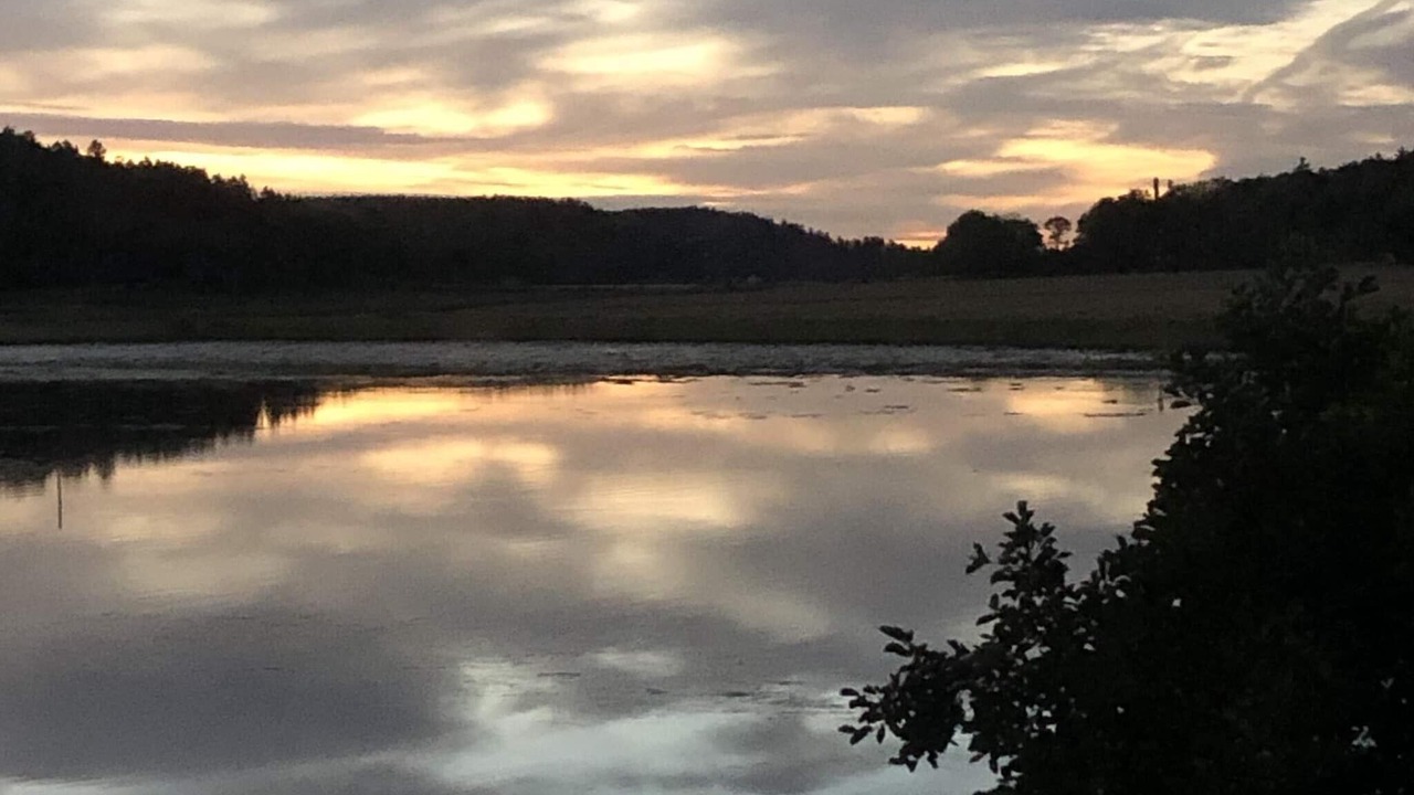 Photo of Outdoor in Stillingson