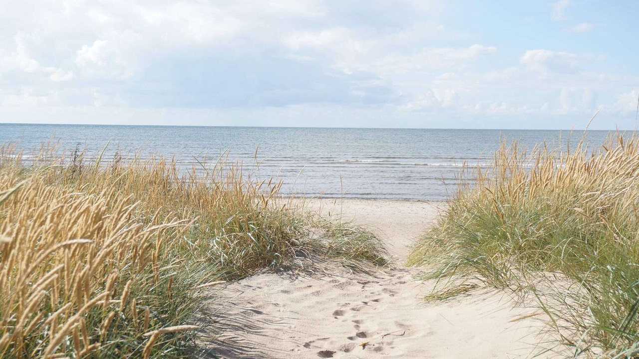 Photo of Others in Falkenberg