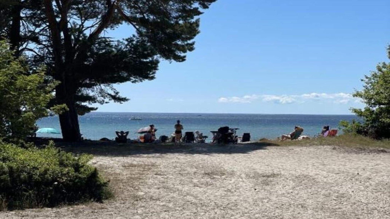Photo of Others in Hallevik