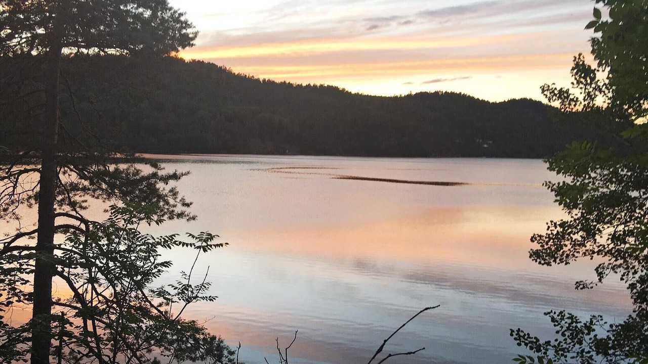 Photo of Others in Tvedestrand