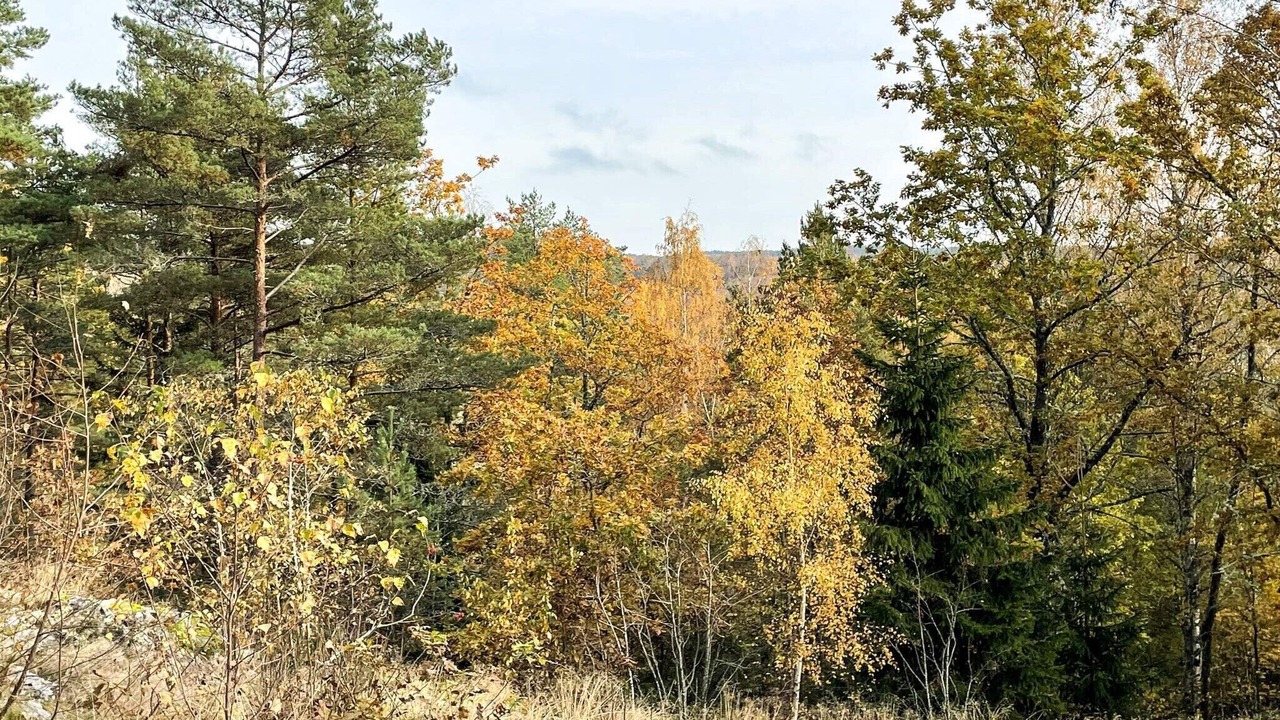 Photo of Outdoor in Fengersfors