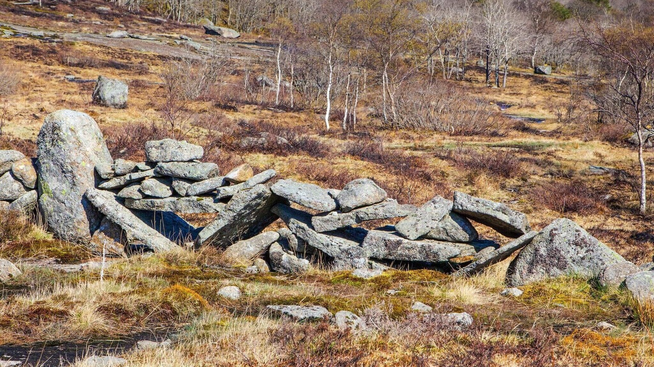 Photo of Others in Lyngdal