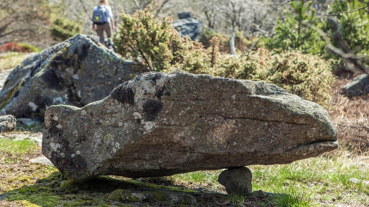 Photo of Others in Lyngdal