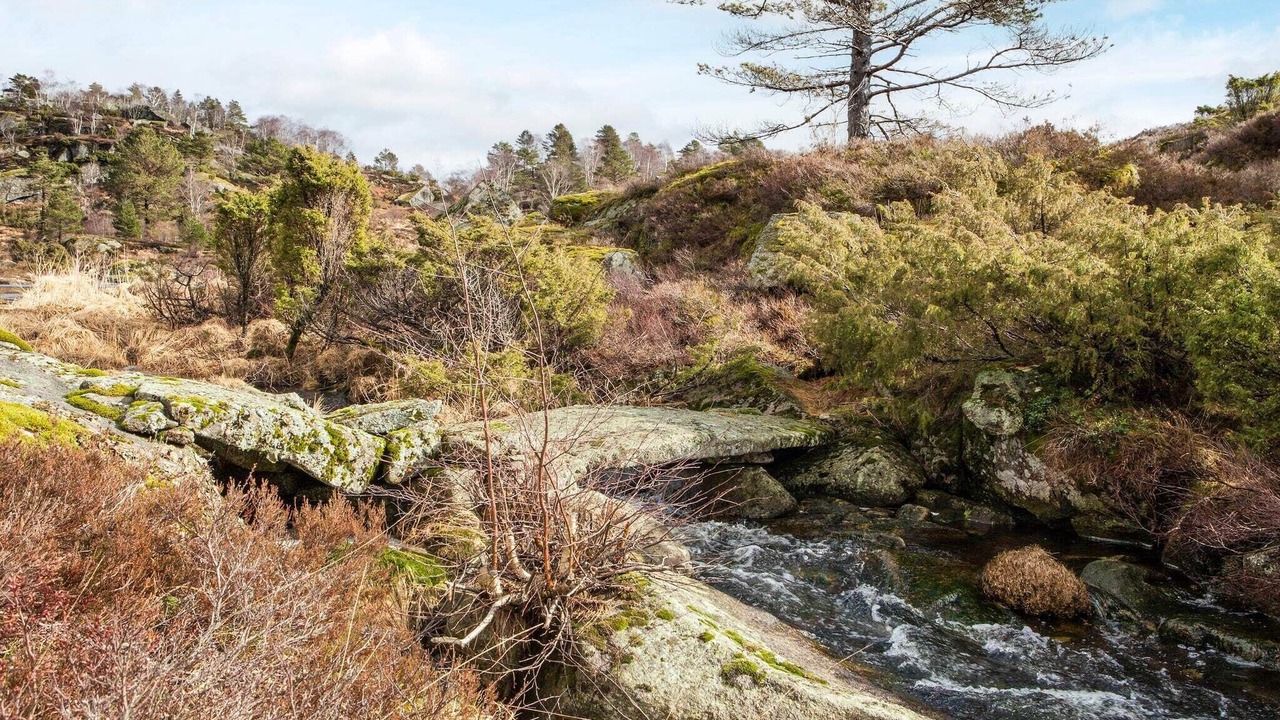 Photo of Others in Lyngdal