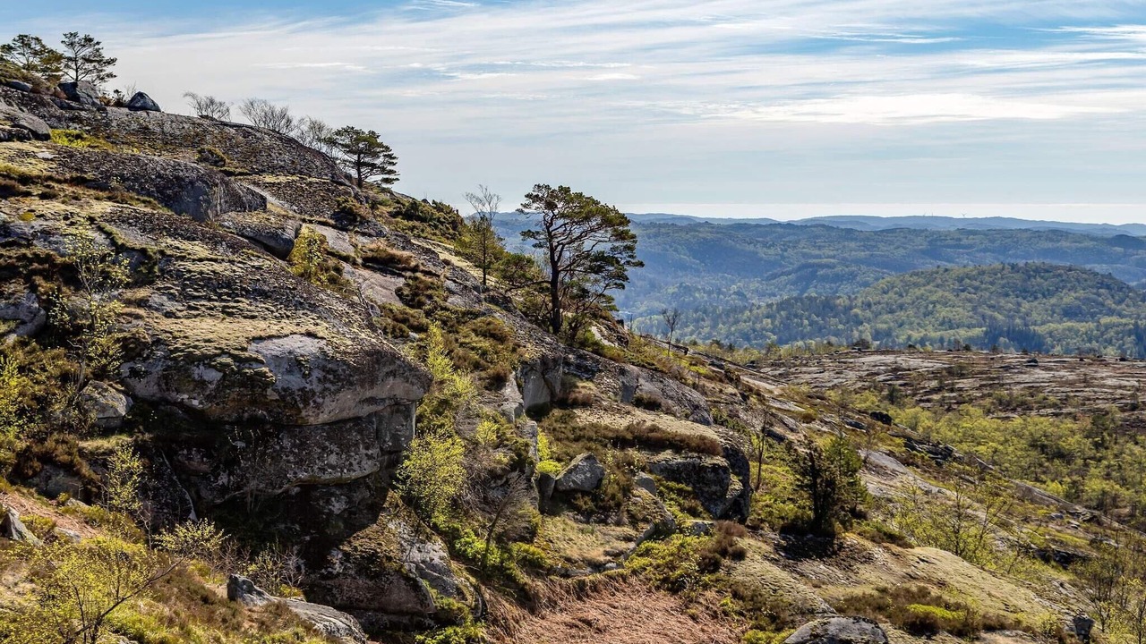 Photo of Others in Lyngdal