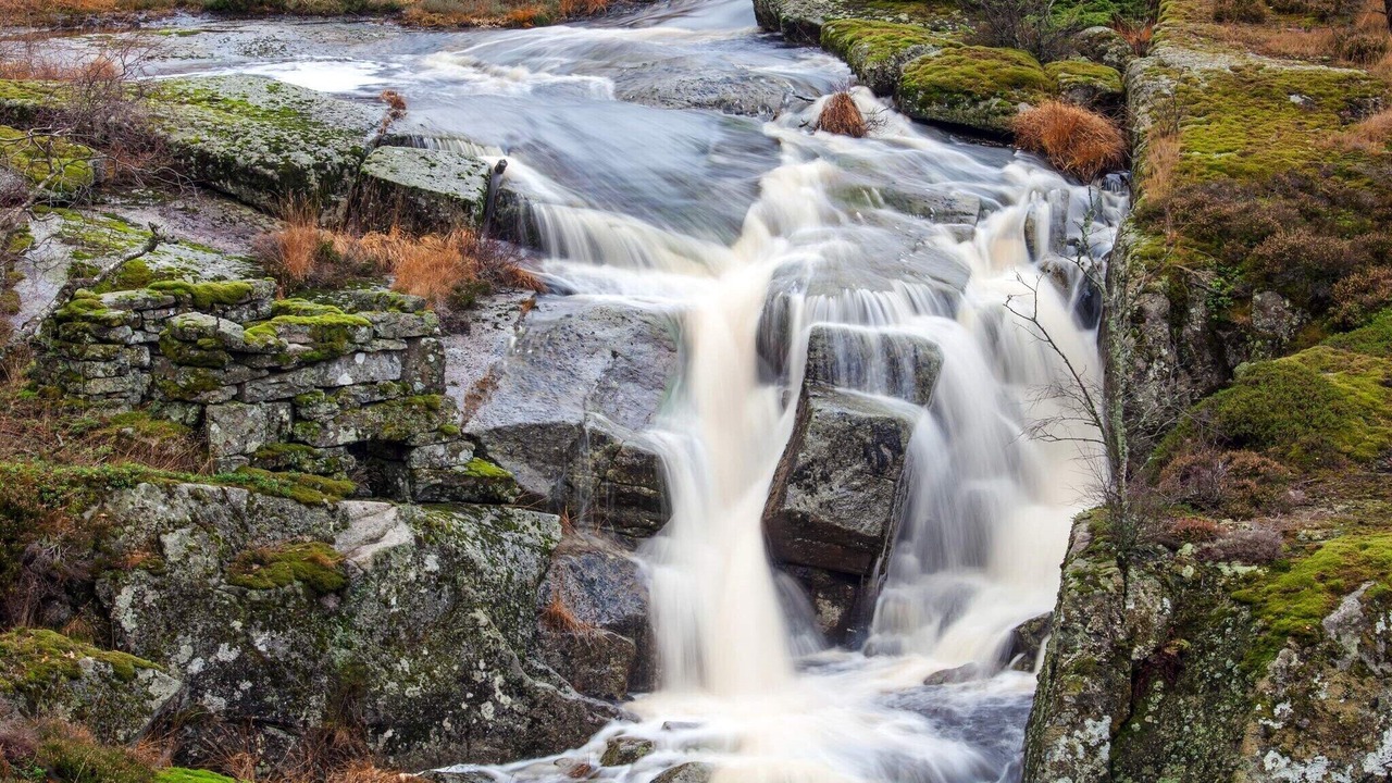 Photo of Others in Lyngdal