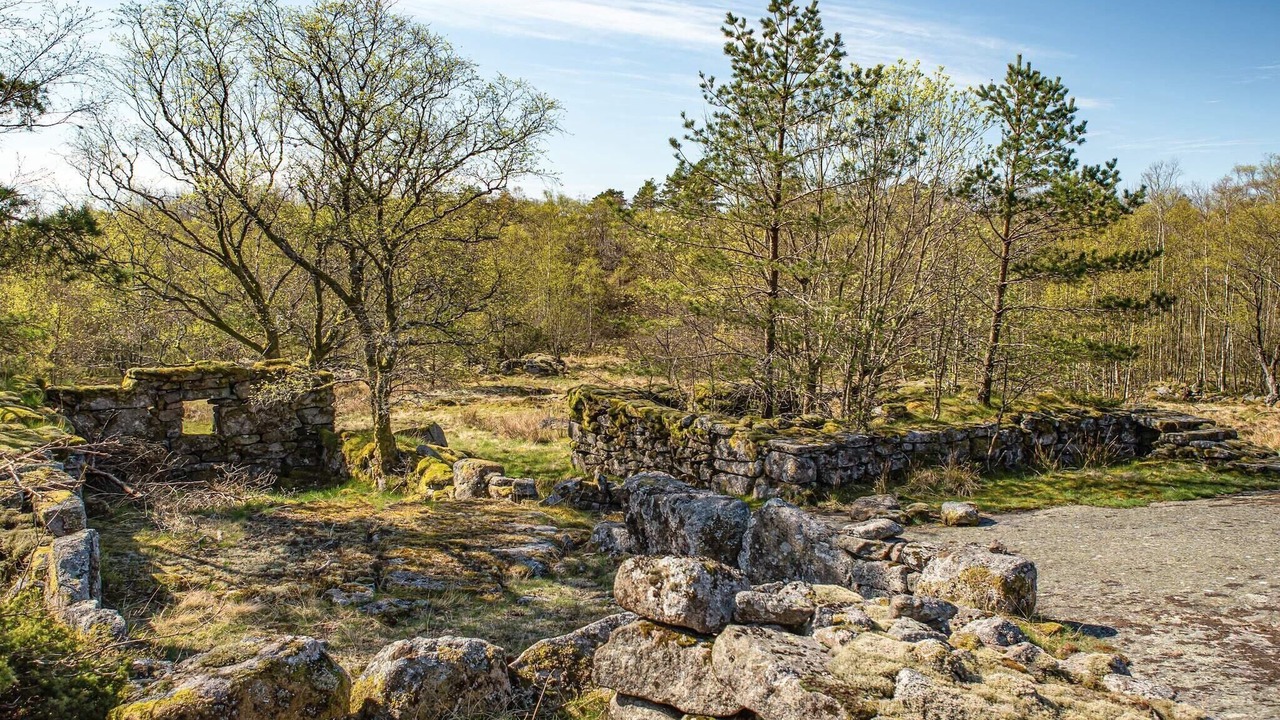 Photo of Others in Lyngdal
