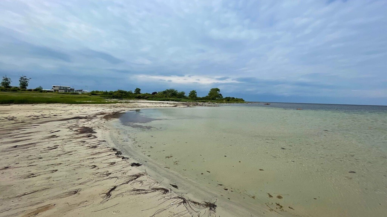 Photo of Others in Borgholm