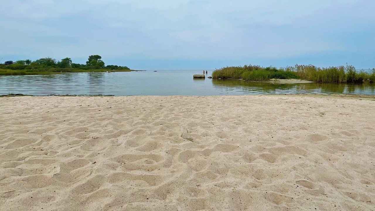 Photo of Others in Borgholm