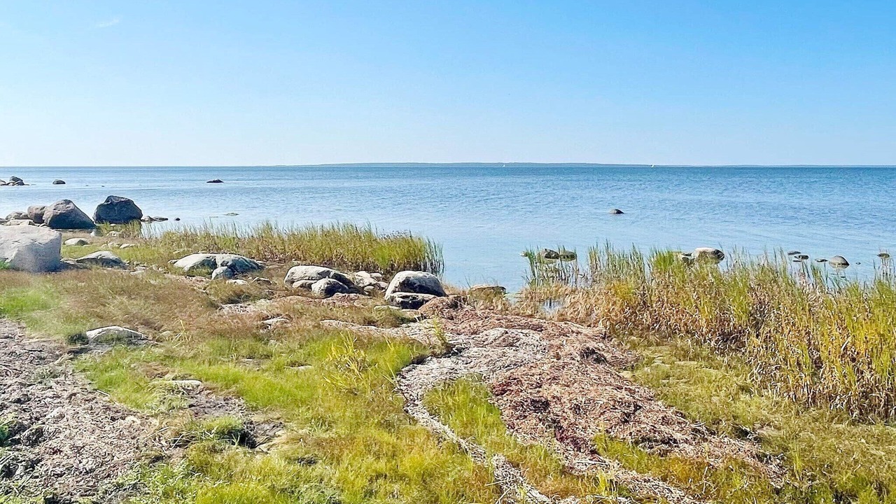 Photo of Others in Borgholm