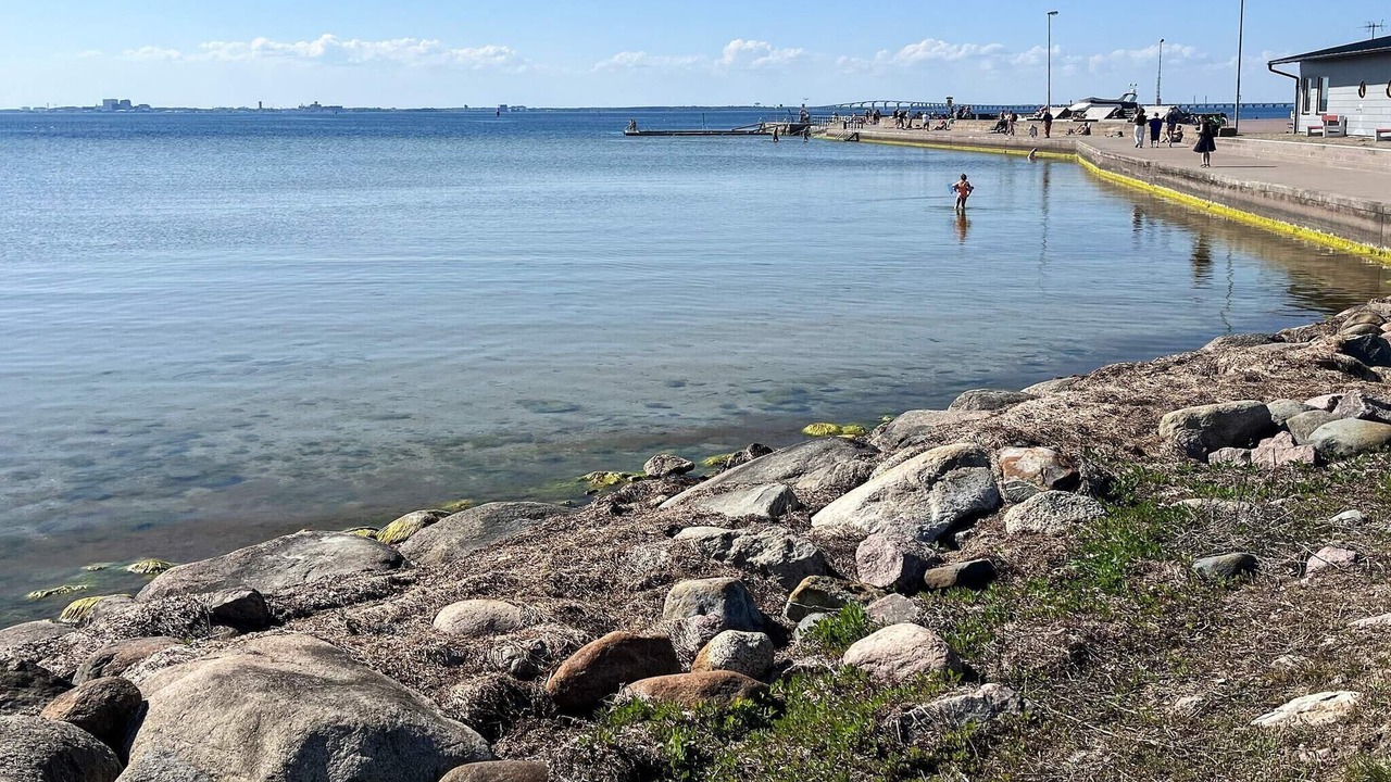 Photo of Others in Farjestaden