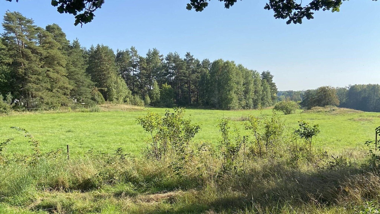 Photo of Outdoor in Animskog