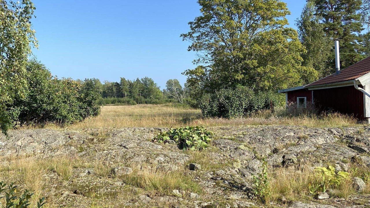 Photo of Outdoor in Animskog