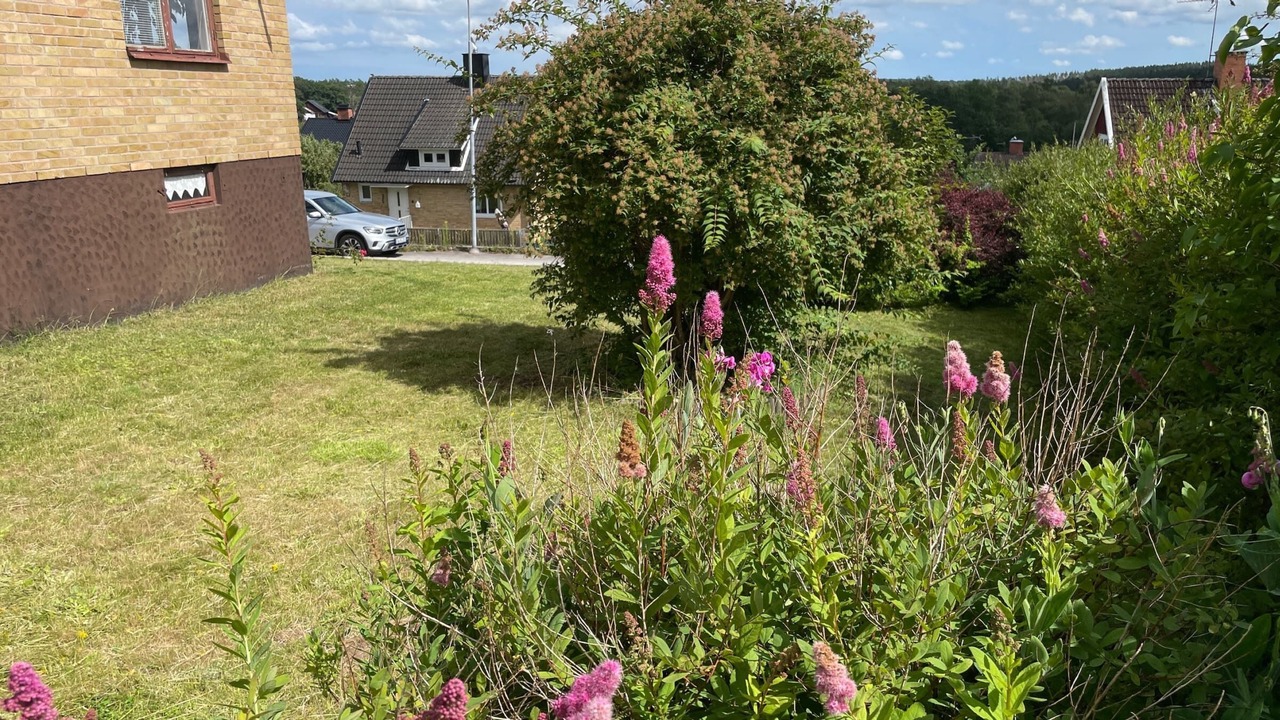 Photo of Outdoor in Storebro