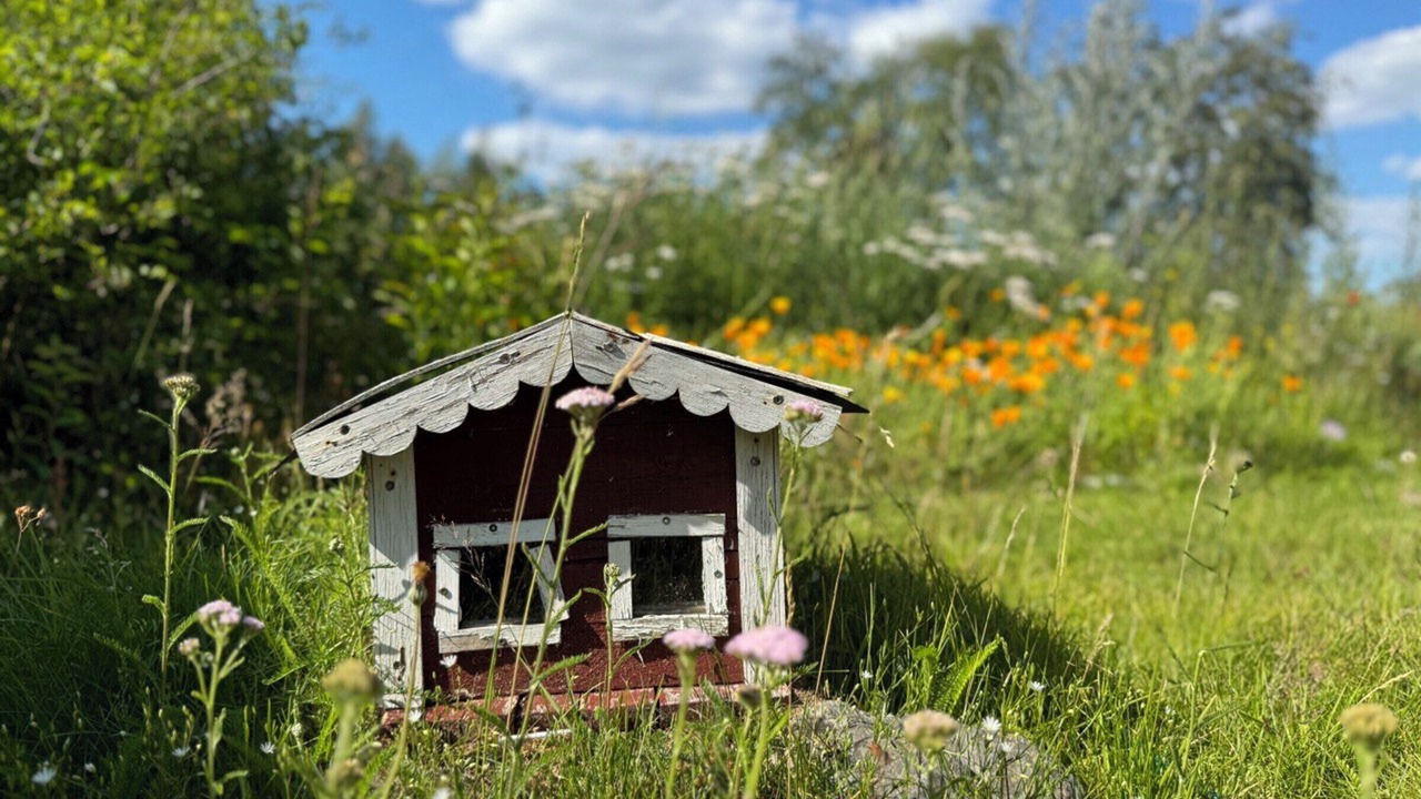Photo of Outdoor in Jarnforsen