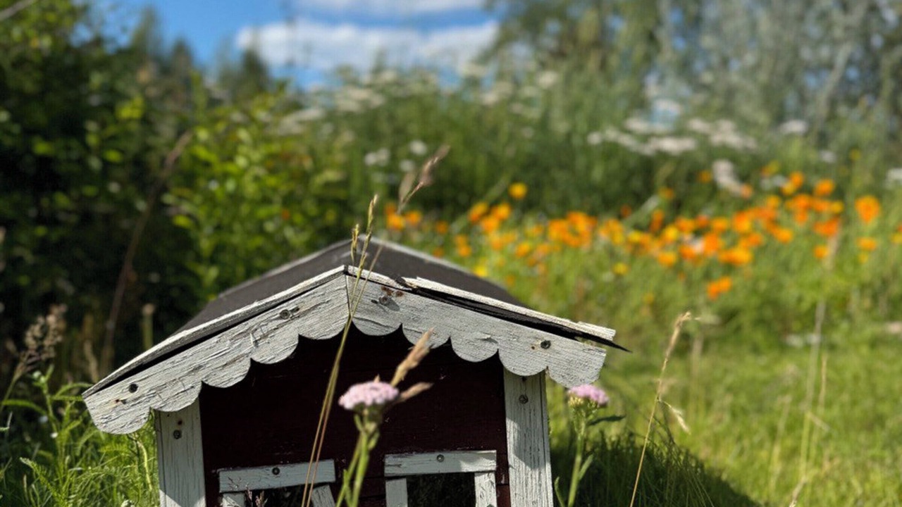 Photo of Outdoor in Jarnforsen