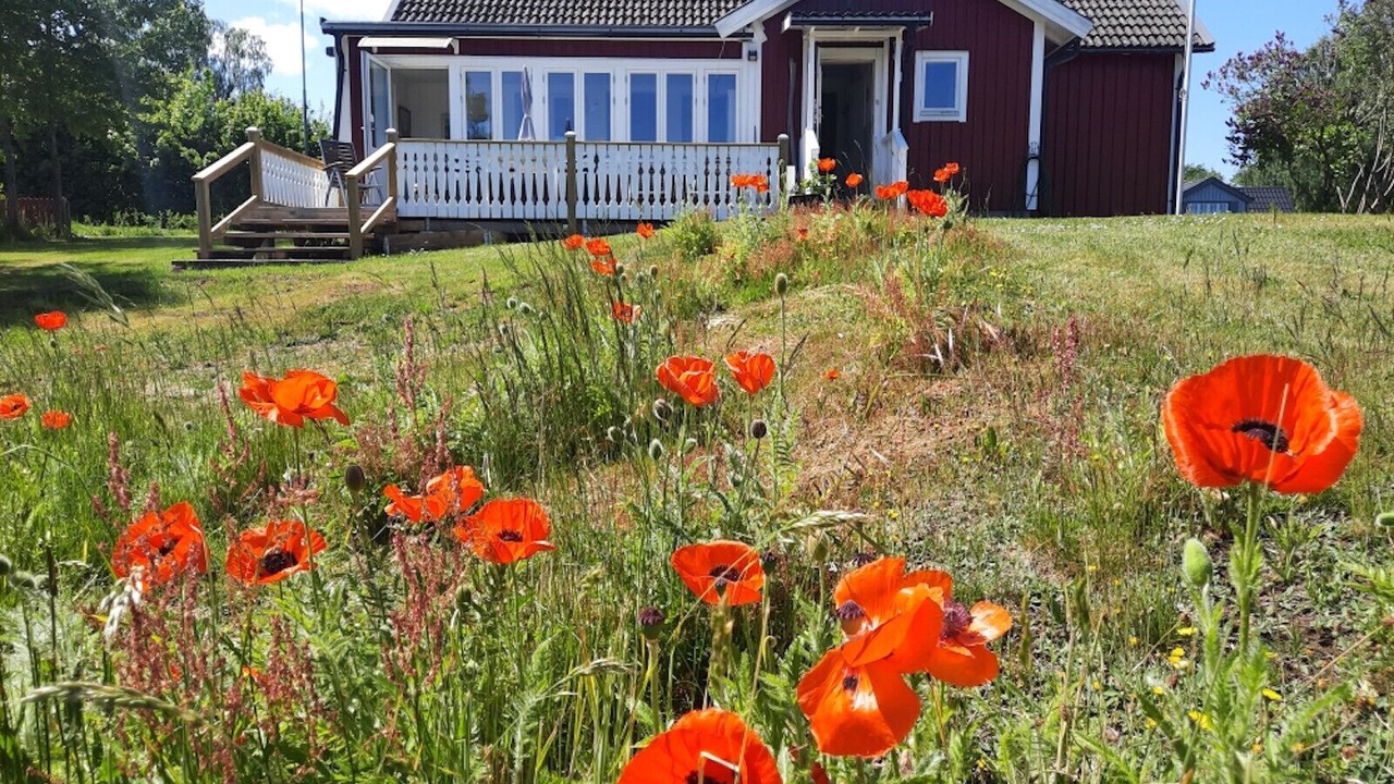 Photo of Outdoor in Holmsjo