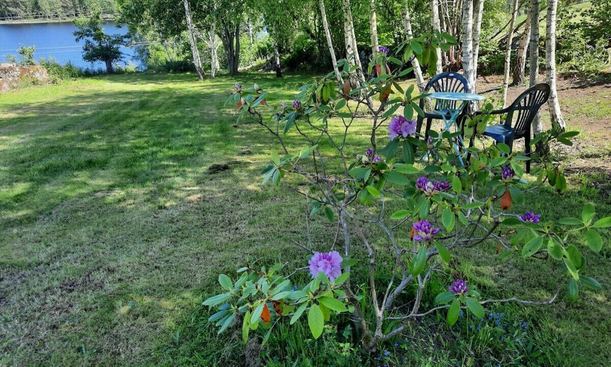 Photo of Outdoor in Holmsjo